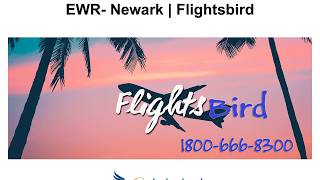 Get UPTO $150 off on Flights from Newark with Flightsbird