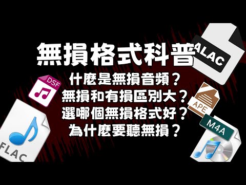 無損音訊格式科普！ FLAC、M4A、DSD、APE分不清？小白怎麼選？ |索尼|微軟|蘋果|APPLE MUSIC|SPOTIFY|飛利浦|