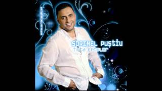 Sorinel Pustiul - Piti, pitipoancele (Audio Oficial)
