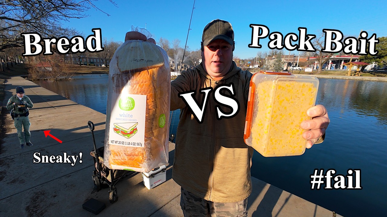 Хлеб против упакованной наживки: неудача в зимней рыбалке на карпа в городском пруду