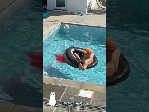 プールがトイレだと思った