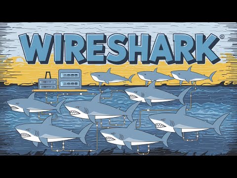 Network Listening with Wireshark | Using Wireshark | Network Training for Those Who Want to Becom...