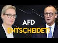 Abstimmung kippt dank AfD – Antrag durch, Merz unter Druck