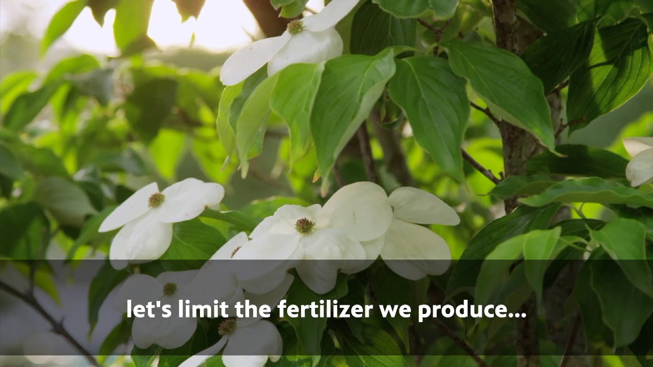 Learn from students on West Side Christian School