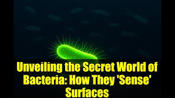 Unveiling the Secret World of Bacteria: How They 