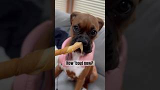 😎 Do You Think She Is Cool? Resimi