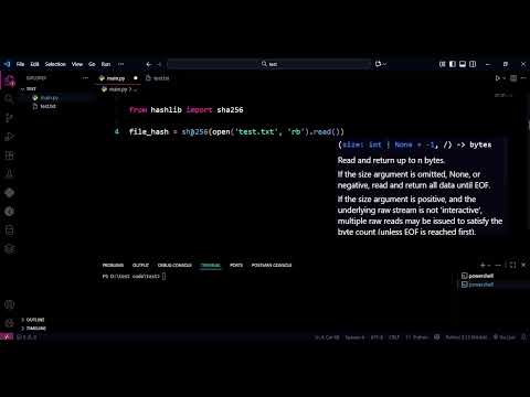 How to Generate a File Hash in Python (SHA256 in 1 Line!) ????????
