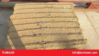 vacuum packing corn on the cob bagging seed corn