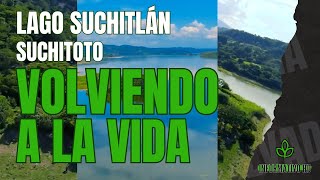 El Milagro Del Lago Suchitlán Limpieza Masiva, Repoblación De Peces Y Recuperación Total