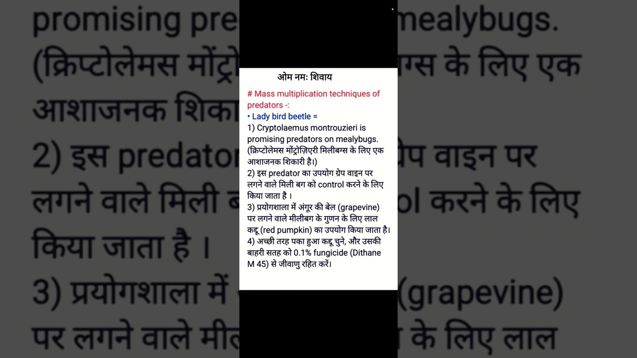 Mass multiplication techniques of predators 