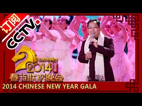【2014】 Chinese New Year Gala【Year of Horse】歌曲《我的中国梦》张明敏丨CCTV