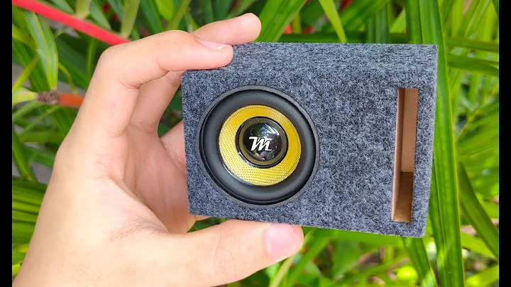 High Power Subwoofer Speaker with Aramid Fiber Cone (32-48Hz)