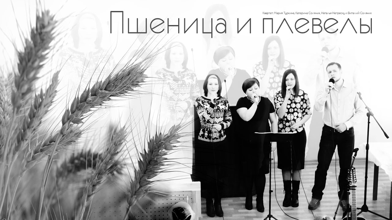песни пшеничного