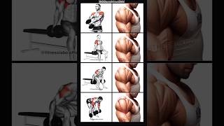 Aaj shoulder Fatega🔥💪3D shoulder exercise #viral #motivation #shortvideo #homeworkout