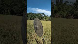 Alat Pertanian Kreatif