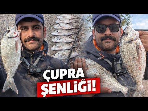 ÇUPRA Şenliği - Kıyıdan LRF Takım ile Harika Aksiyonlar