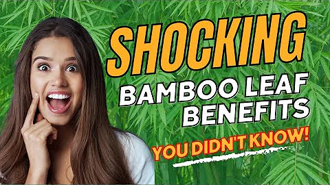 Can bamboo be toxic?