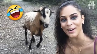 Best Funny Memes and Videos 😂 TRY NOT TO LAUGH 😆😂🤣 BY FunFunnyFlix #18