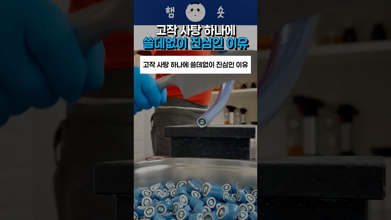 고작 사탕 하나에 쓸데없이 진심인 이유