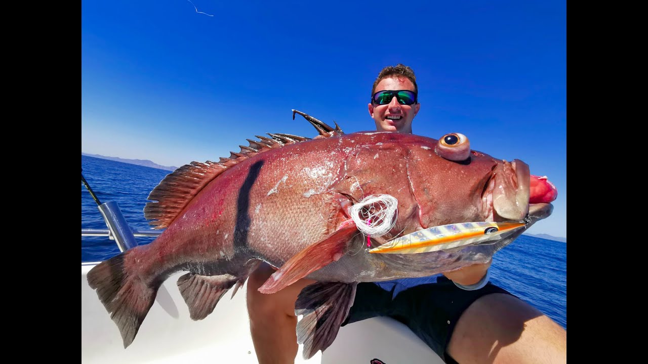 Dropping GIANT Jigs For DEEP SEA GROUPERS! (Insane Slow Pitch Jigging in  Mexico) 