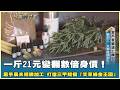 一斤21元變翻數倍身價！黑手農夫精緻加工 打造三甲規模「艾草綠金王國」　20260612【台灣向錢衝】PART3