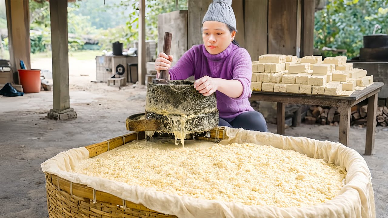 How to Make Tofu with Traditional Method - Cooking Countryside Meal from Tofu