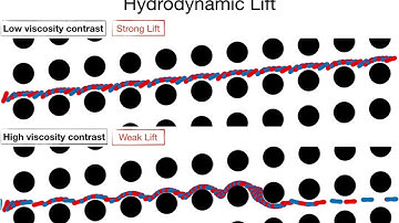 Separation of Red Blood Cells using DLD