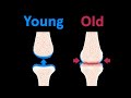 How Your Body Ages From Head to Toe | WIRED