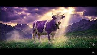 Nov 30  1415 56s 202511302337 2q07i