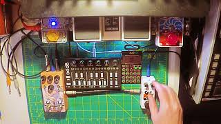 acid8 PO-12 Kangra - Live Micro Jam - 2022-12-29