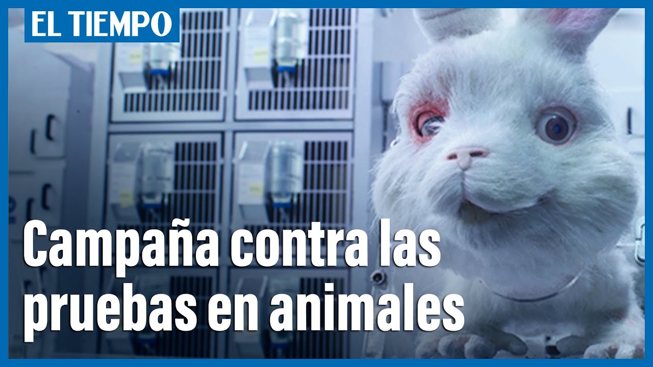 Save Ralph', el emotivo video sobre la crueldad del testeo en animales -  YouTube