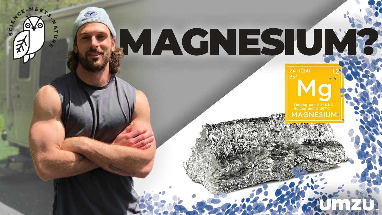 Magnesium and Testosterone Testosterone Booster Foods Rich In Magnesium YouTube