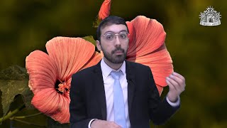 עשר דקות לשבת | הרב יוסף קויתי -פרשת קרח-למה פתאום הוא רוצה שיאמינו לו שהוא הגנב?