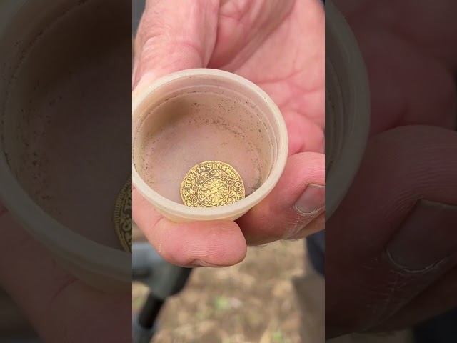 Goldmünze mit Metalldetektor gefunden!  #metalldetektor  #sondeln