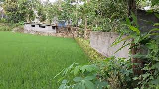 Azizah Maumere Full Album - Aku Tak Berarti Bagimu