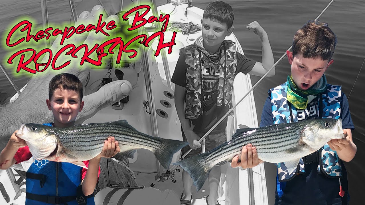 ROCKFISH ON THE CHESAPEAKE BAY!! Chunking and trolling for rockfish