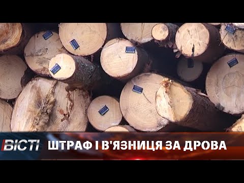 Закон про дрова. Чи ризикують пересічні українці опинитися за ґратами?