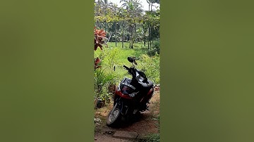 Bird attack mirror so funny prank video, elephant attack in kerala, malayalam 2021 latest