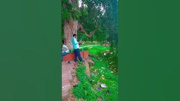 lnmu university #lnmu #provisionalcertificate #university se provisional certificate kaise le