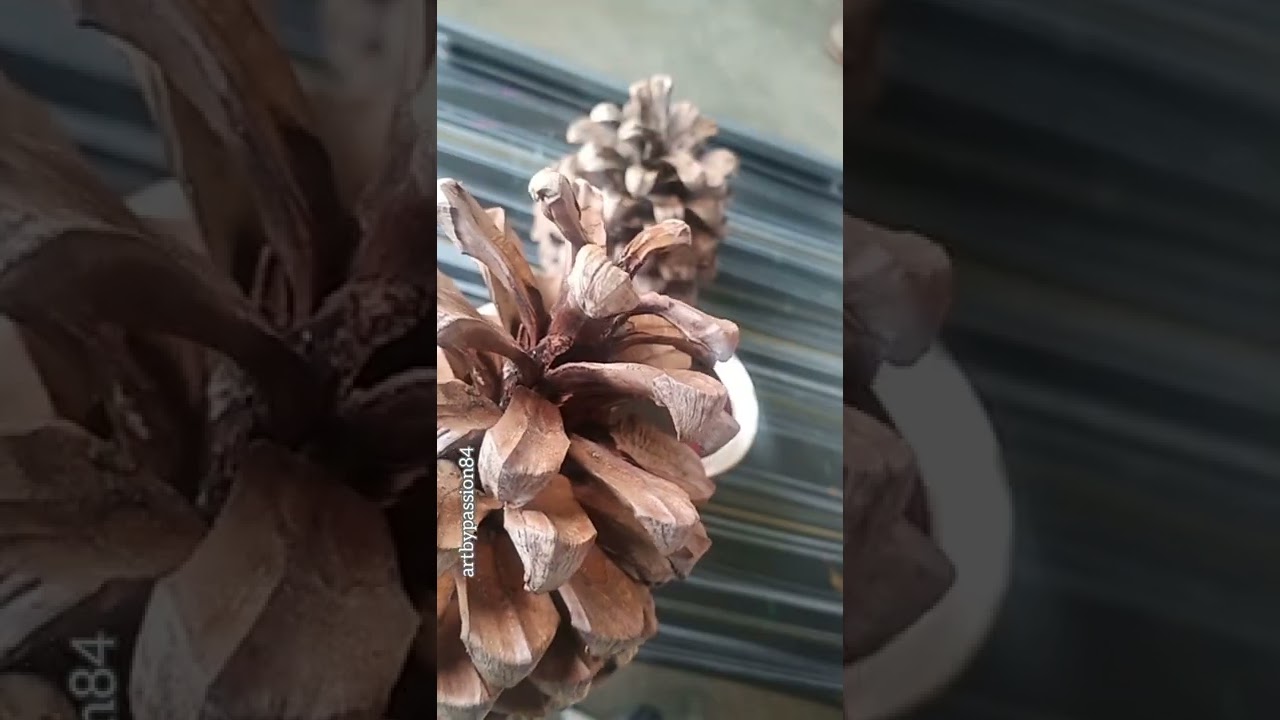 Varnishing Pine Cones 