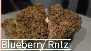 #48 Blueberry Rntz (Official Product Review) Trulieve Product