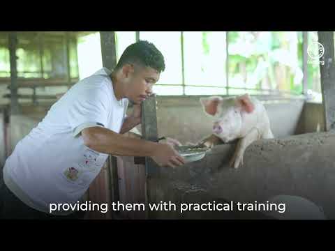 Biosecurity: Your first line of defense against African swine fever | FAO CABI