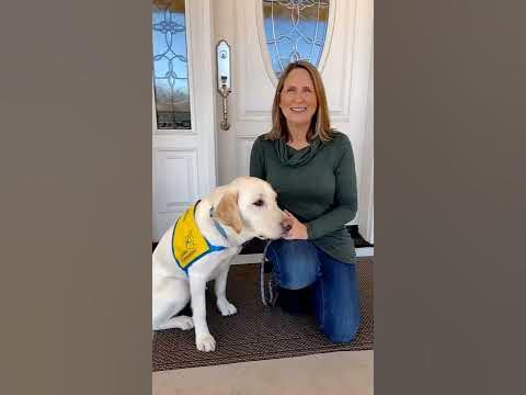 Canine Companions: Love - Unleashed!