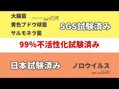 動画