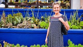 HOW MUCH SUN DO SUCCULENTS NEED? / JOY US GARDEN