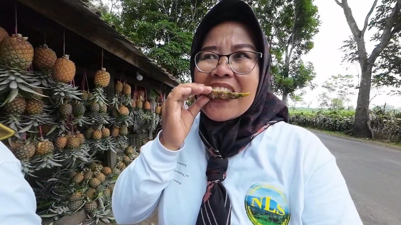 Pengunjung Makin Pesat Meningkat, Serbu Pedagang Nanas di Subang Kita Bawa Pasukan Ke Lembur Pakuan