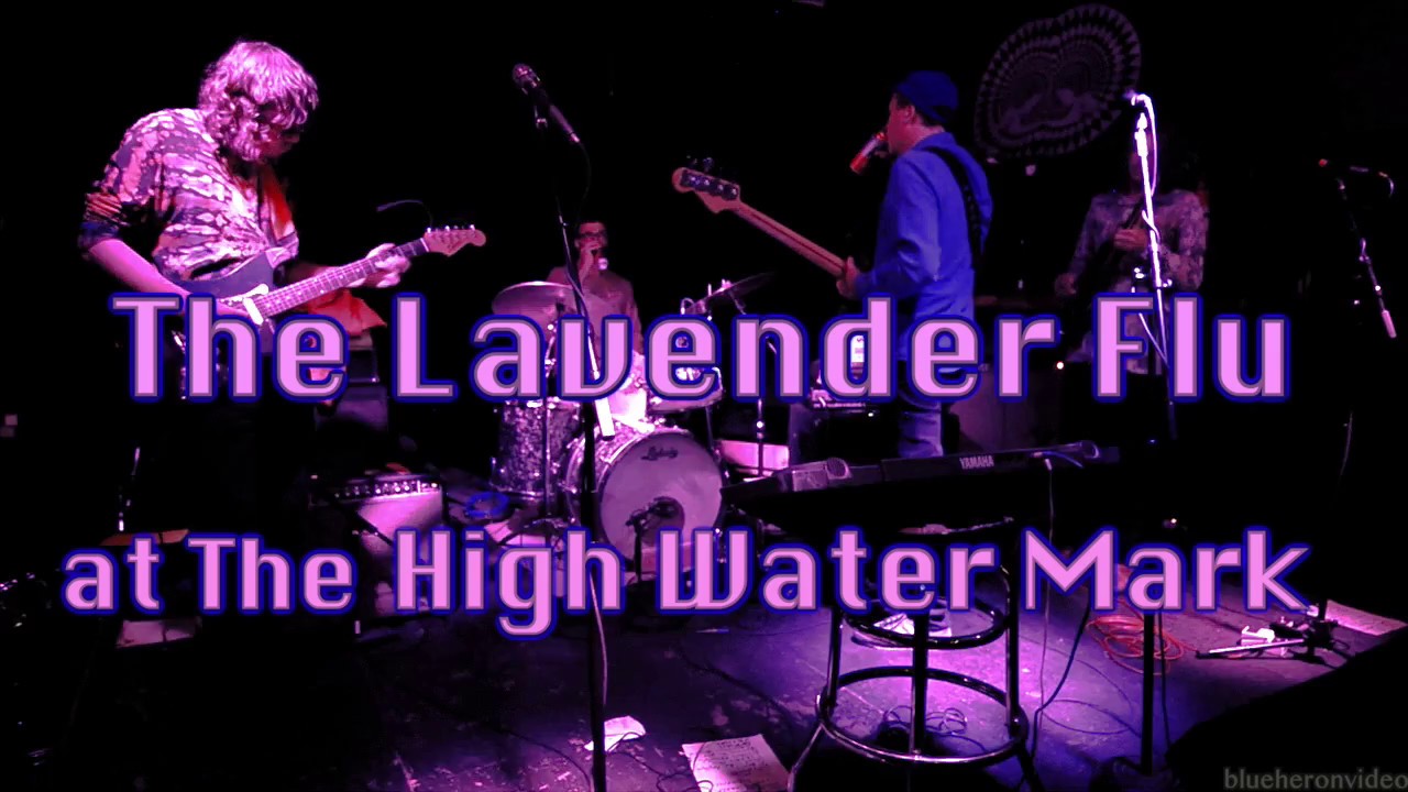 The Lavender Flu Live at The High Water Mark