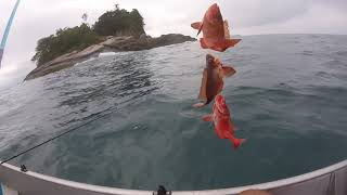 Pesca Na Ilha Rachada Ubatuba
