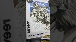 Relax & Create: Paint by Numbers Made Easy! #paintbynumbers