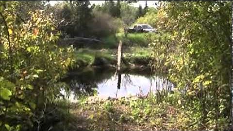 Build Log Bridge 2011